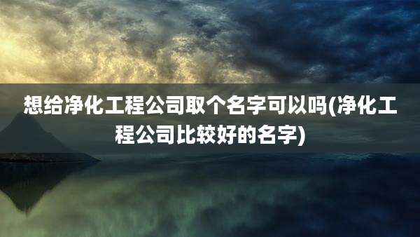 想给净化工程公司取个名字可以吗(净化工程公司比较好的名字)