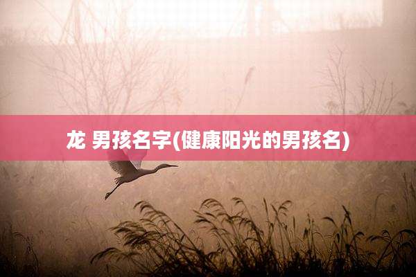龙 男孩名字(健康阳光的男孩名)