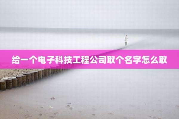 给一个电子科技工程公司取个名字怎么取