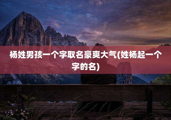 杨姓男孩一个字取名豪爽大气(姓杨起一个字的名)