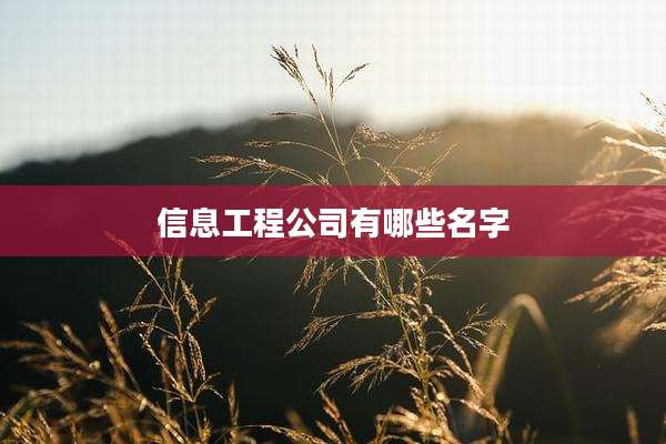 信息工程公司有哪些名字