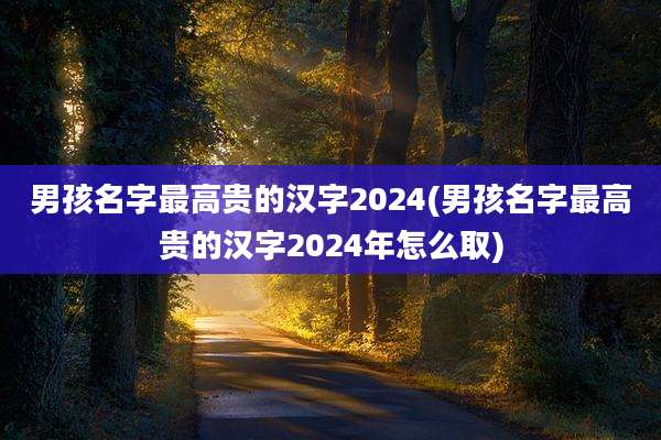 男孩名字最高贵的汉字2024(男孩名字最高贵的汉字2024年怎么取)