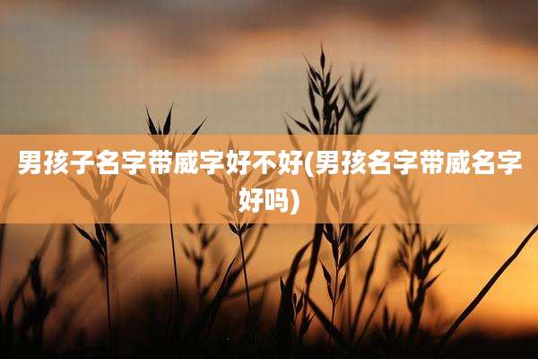 男孩子名字带威字好不好(男孩名字带威名字好吗)