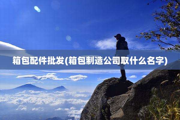 箱包配件批发(箱包制造公司取什么名字)