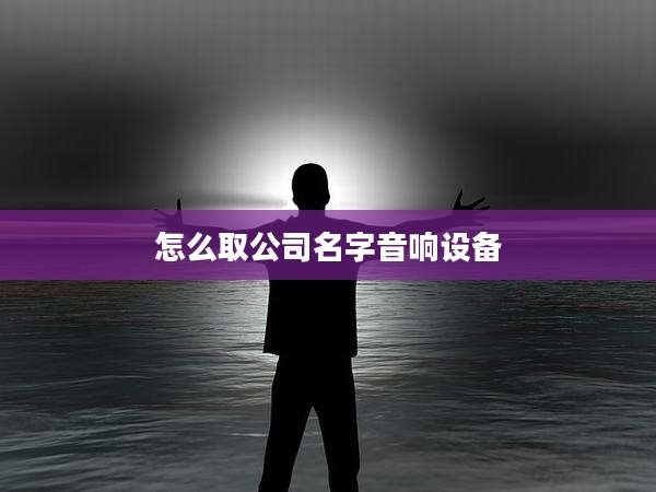 怎么取公司名字音响设备