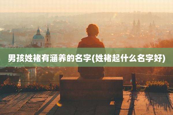 男孩姓褚有涵养的名字(姓褚起什么名字好)