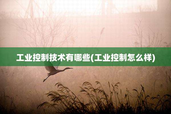 工业控制技术有哪些(工业控制怎么样)