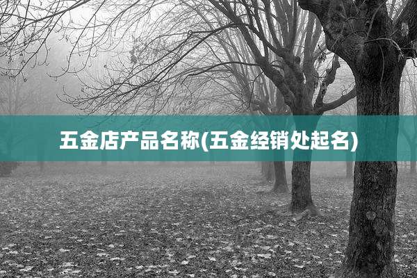 五金店产品名称(五金经销处起名)