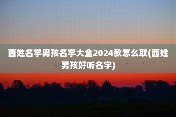 西姓名字男孩名字大全2024款怎么取(西姓男孩好听名字)
