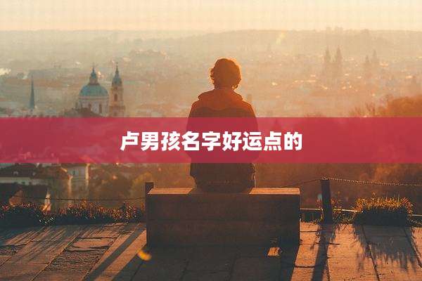 卢男孩名字好运点的