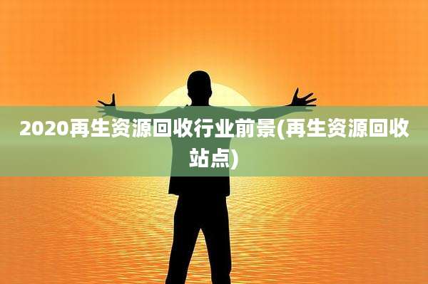 2020再生资源回收行业前景(再生资源回收站点)