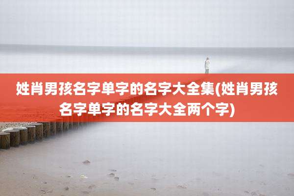 姓肖男孩名字单字的名字大全集(姓肖男孩名字单字的名字大全两个字)
