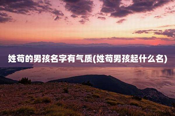 姓苟的男孩名字有气质(姓苟男孩起什么名)