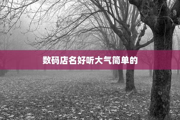数码店名好听大气简单的