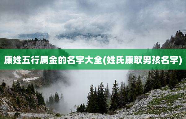 康姓五行属金的名字大全(姓氏康取男孩名字)