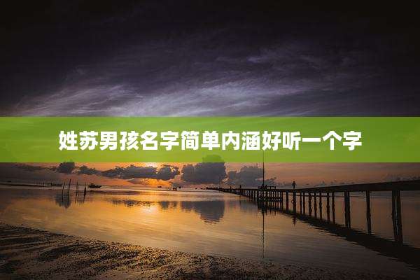 姓苏男孩名字简单内涵好听一个字