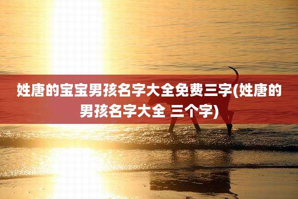 姓唐的宝宝男孩名字大全免费三字(姓唐的男孩名字大全 三个字)