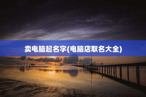 卖电脑起名字(电脑店取名大全)