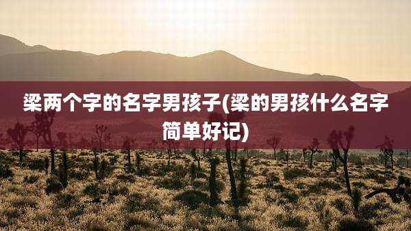梁两个字的名字男孩子(梁的男孩什么名字简单好记)