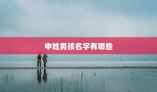申姓男孩名字有哪些