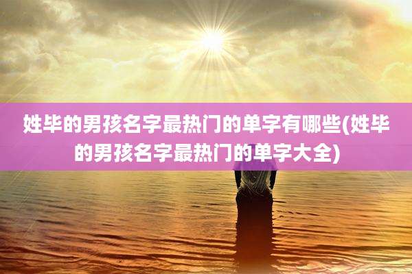 姓毕的男孩名字最热门的单字有哪些(姓毕的男孩名字最热门的单字大全)