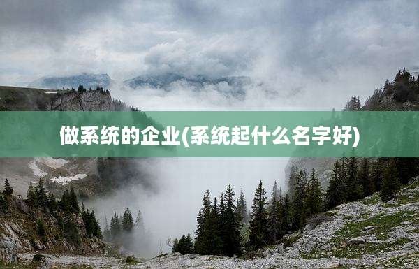 做系统的企业(系统起什么名字好)