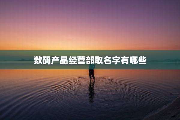 数码产品经营部取名字有哪些