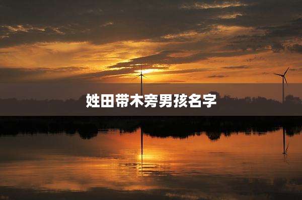 姓田带木旁男孩名字