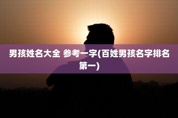 男孩姓名大全 参考一字(百姓男孩名字排名第一)