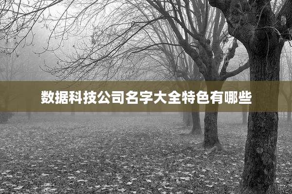 数据科技公司名字大全特色有哪些