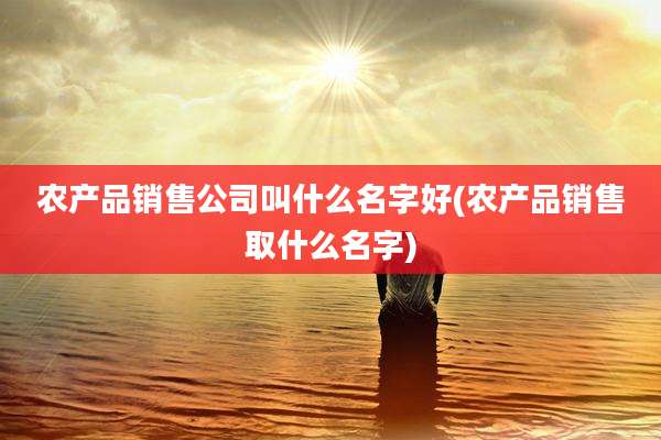 农产品销售公司叫什么名字好(农产品销售取什么名字)