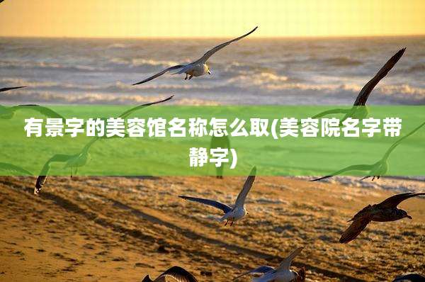 有景字的美容馆名称怎么取(美容院名字带静字)