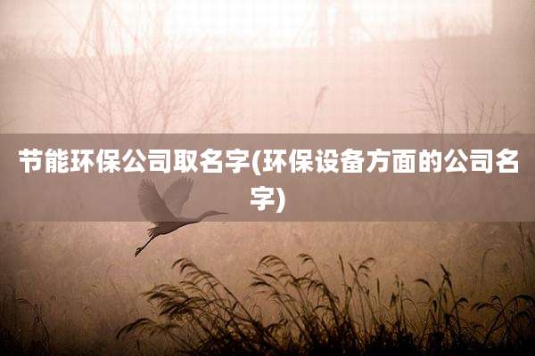 节能环保公司取名字(环保设备方面的公司名字)