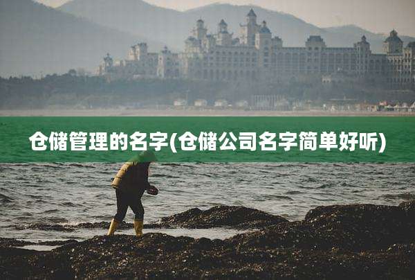 仓储管理的名字(仓储公司名字简单好听)