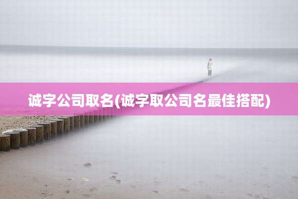 诚字公司取名(诚字取公司名最佳搭配)