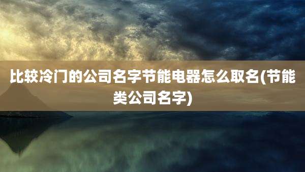 比较冷门的公司名字节能电器怎么取名(节能类公司名字)