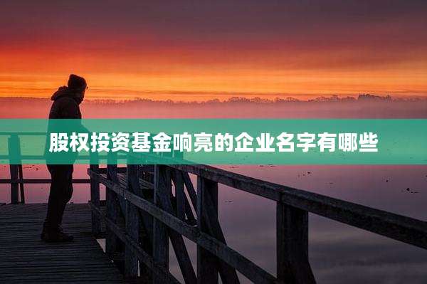 股权投资基金响亮的企业名字有哪些