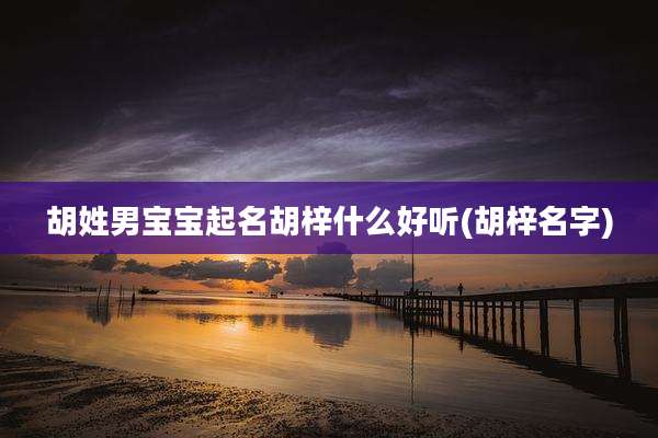 胡姓男宝宝起名胡梓什么好听(胡梓名字)