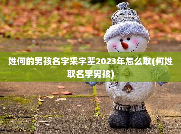 姓何的男孩名字采字辈2023年怎么取(何姓取名字男孩)