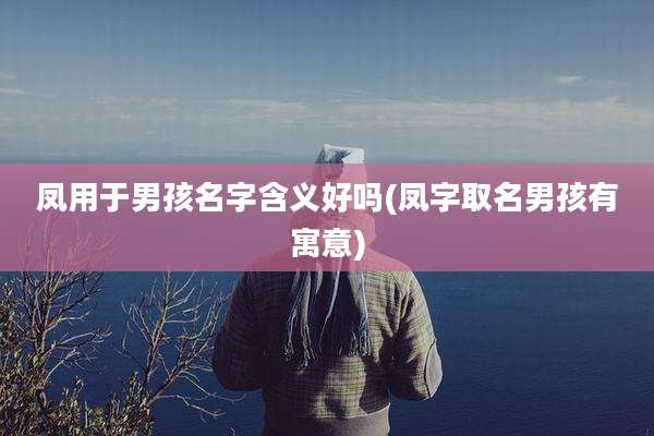 凤用于男孩名字含义好吗(凤字取名男孩有寓意)