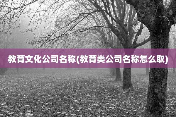 教育文化公司名称(教育类公司名称怎么取)