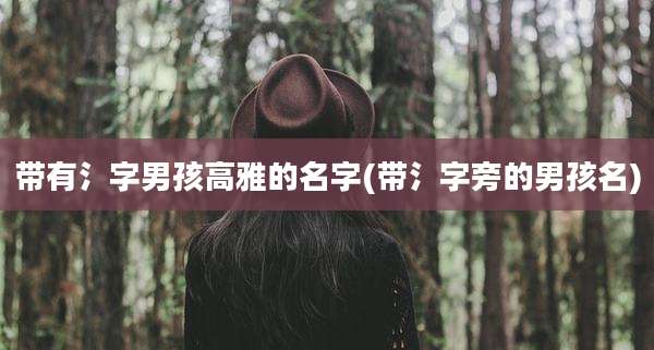 带有氵字男孩高雅的名字(带氵字旁的男孩名)