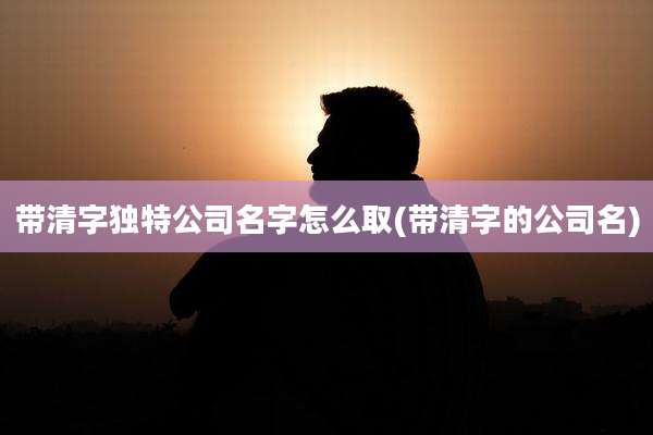 带清字独特公司名字怎么取(带清字的公司名)