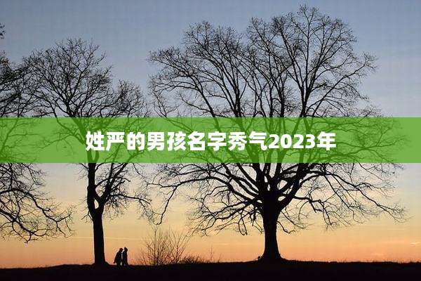 姓严的男孩名字秀气2023年