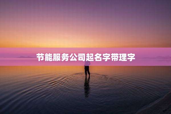 节能服务公司起名字带理字