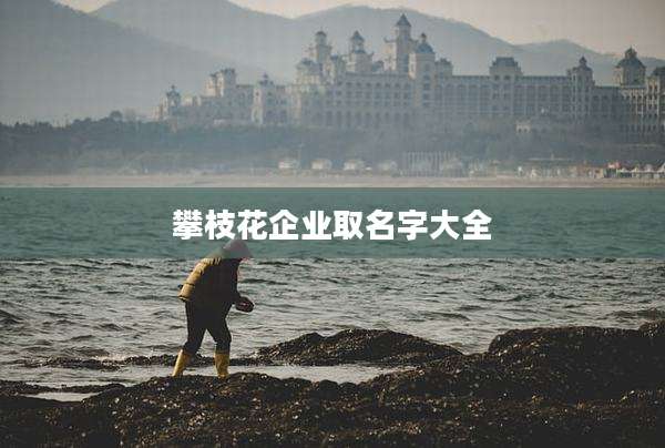攀枝花企业取名字大全