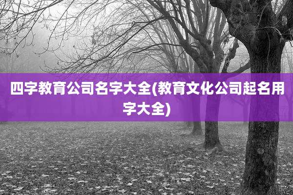 四字教育公司名字大全(教育文化公司起名用字大全)