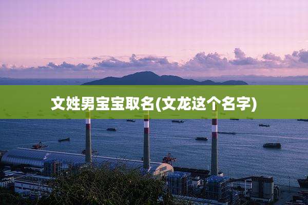 文姓男宝宝取名(文龙这个名字)