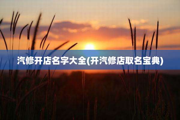 汽修开店名字大全(开汽修店取名宝典)