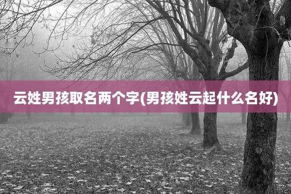 云姓男孩取名两个字(男孩姓云起什么名好)